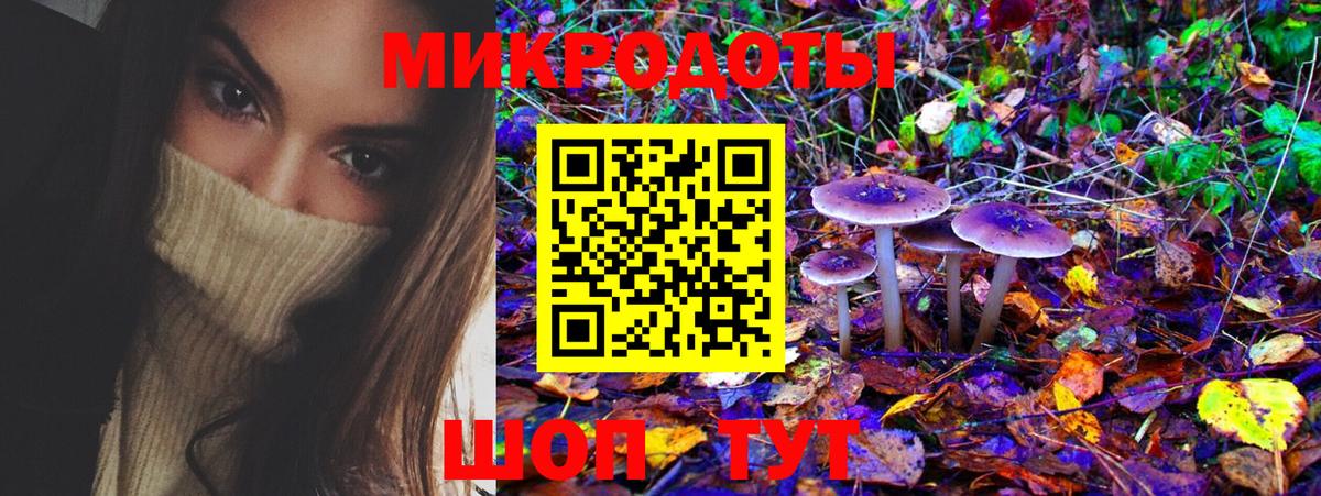 Унеча  Псилоцибиновые грибы GOLDEN TEACHER  Вход с VPN 
