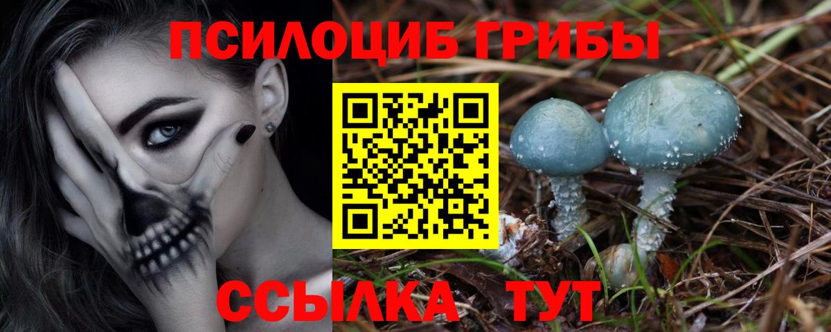 Галлюциногенные грибы мухоморы Унеча