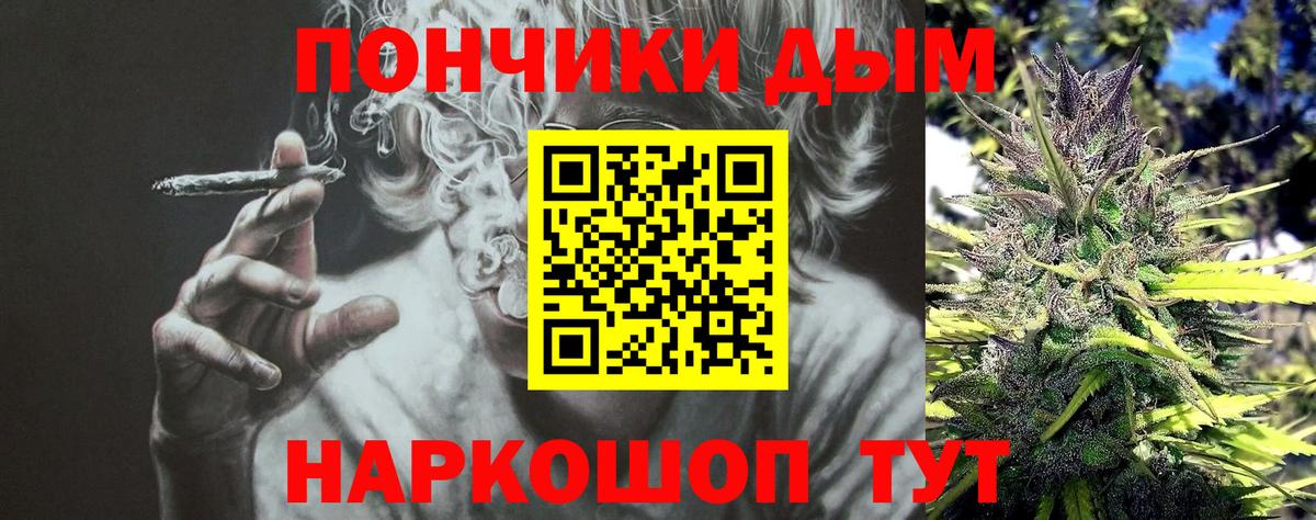 Марихуана сатива Унеча